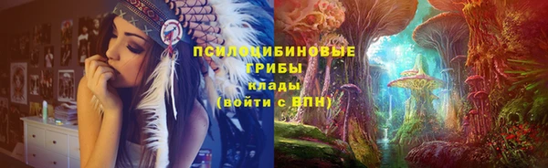 крисы Приозерск