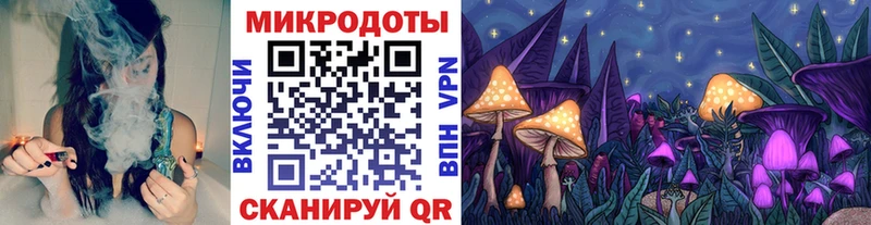 закладка  Северодвинск  Псилоцибиновые грибы мухоморы 