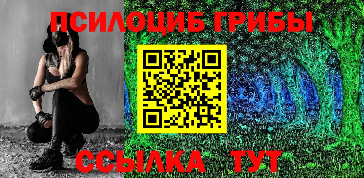 Псилоцибиновые грибы Psilocybine cubensis  Северодвинск 