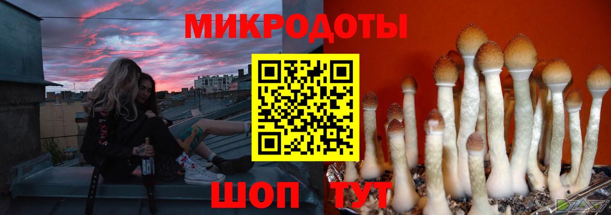 Псилоцибиновые грибы мицелий  Вход с VPN  Северодвинск 